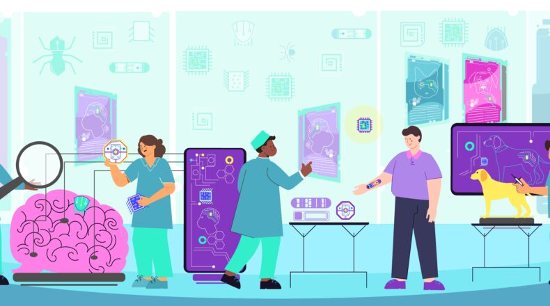 Custom vs. Off-the-Shelf Hospital Software