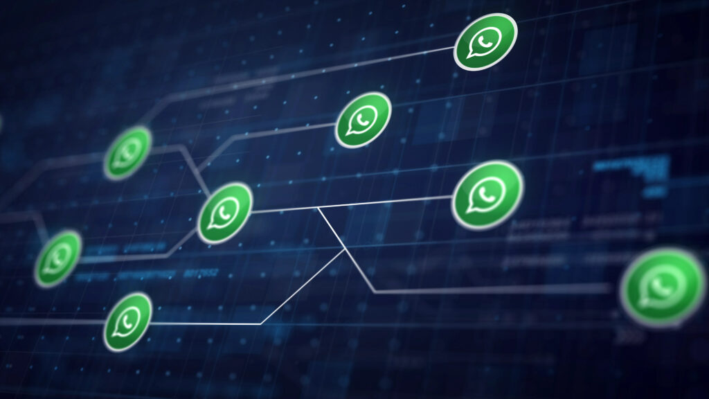 WhatsApp Usernames Are Here: What Every Business Needs to Know Before the 2026 Rollout